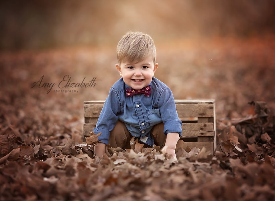 silvan springs session st louis family photographer