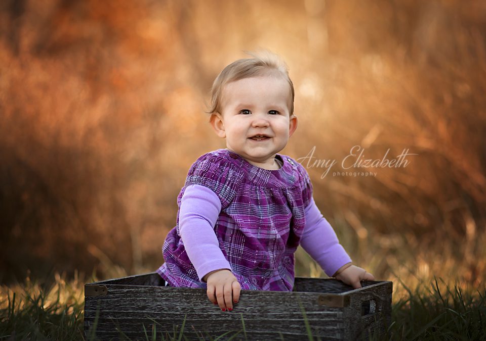 Fabulous Fall Family Session – St. Louis Photographer