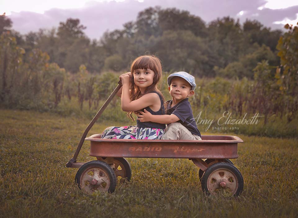 siblings in red wagon st louis photographer