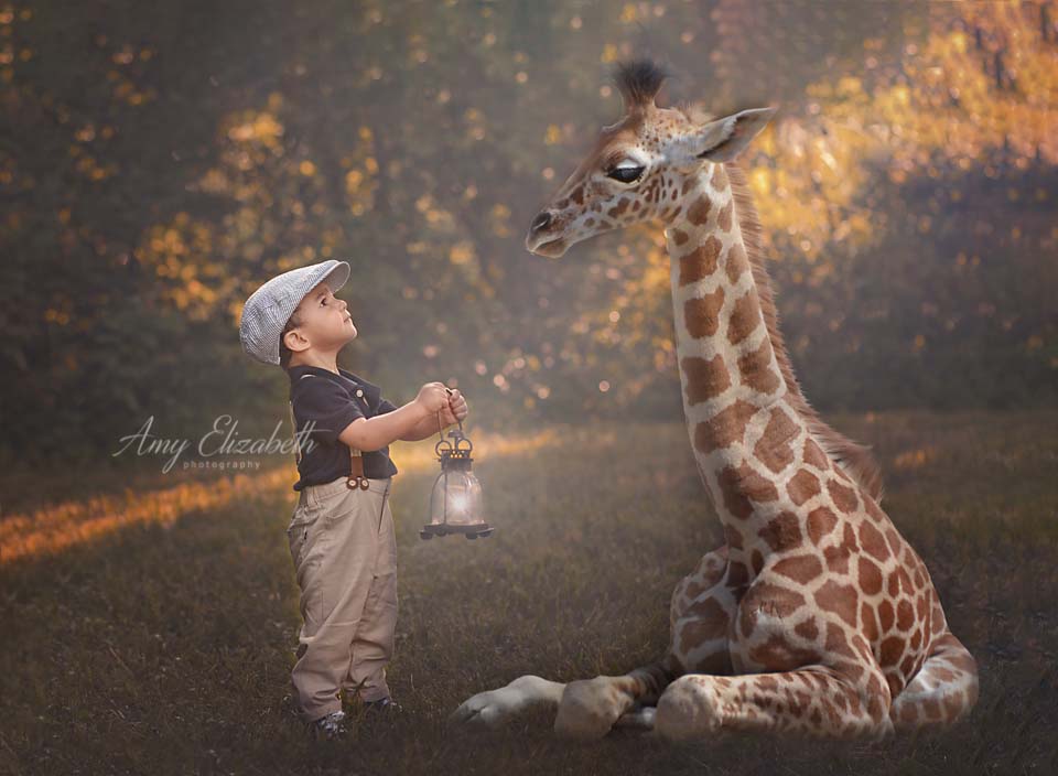 toddler boy and giraffe st louis photographers