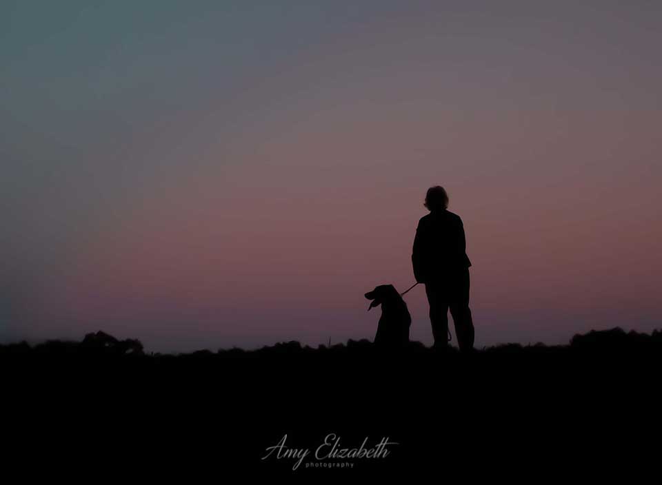 silhouette of dog and her owner