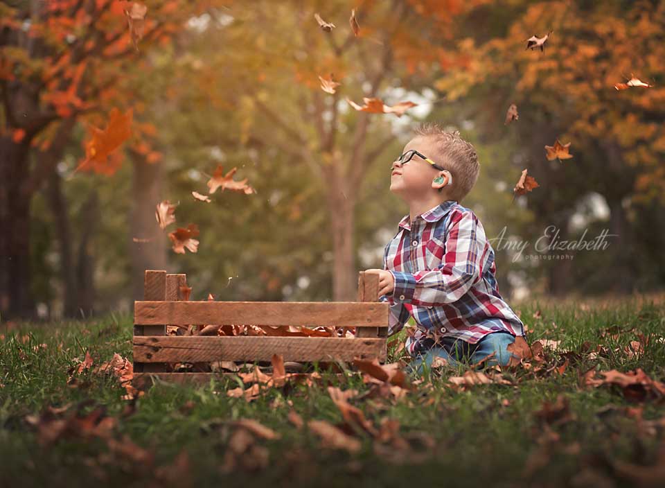 little boy taking in fall leaves