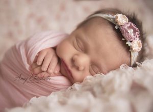 pretty in pink st louis newborn photographer