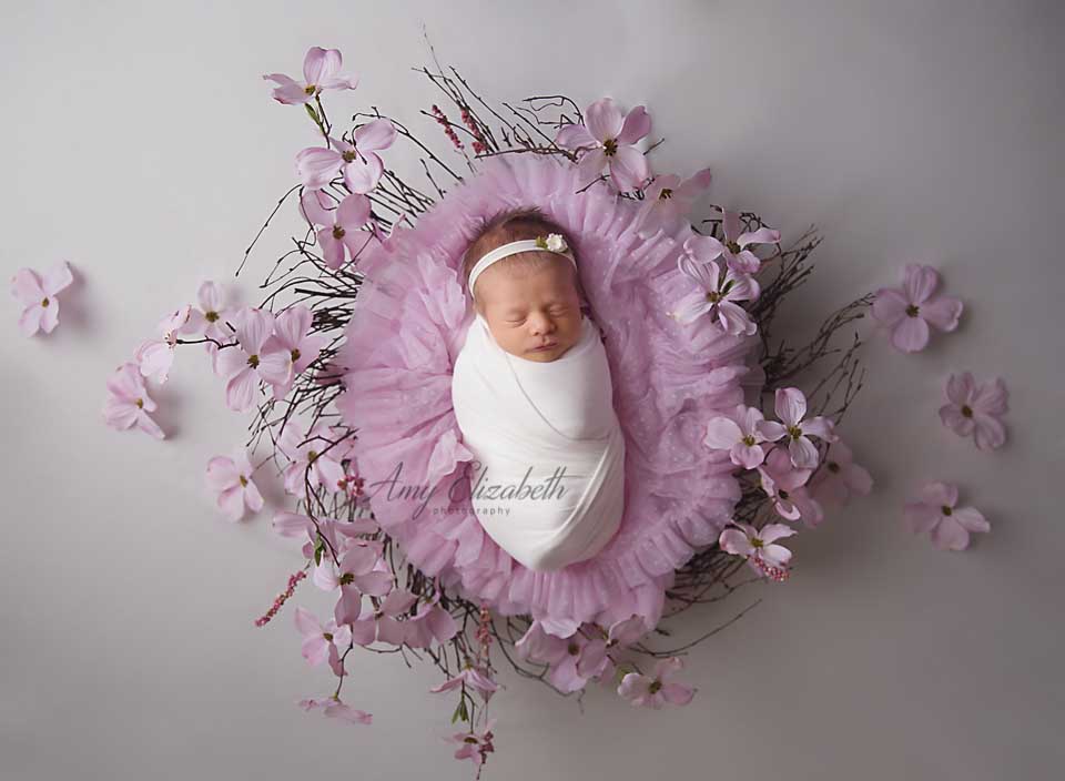 newborn in pink wreath st louis newborn photographer
