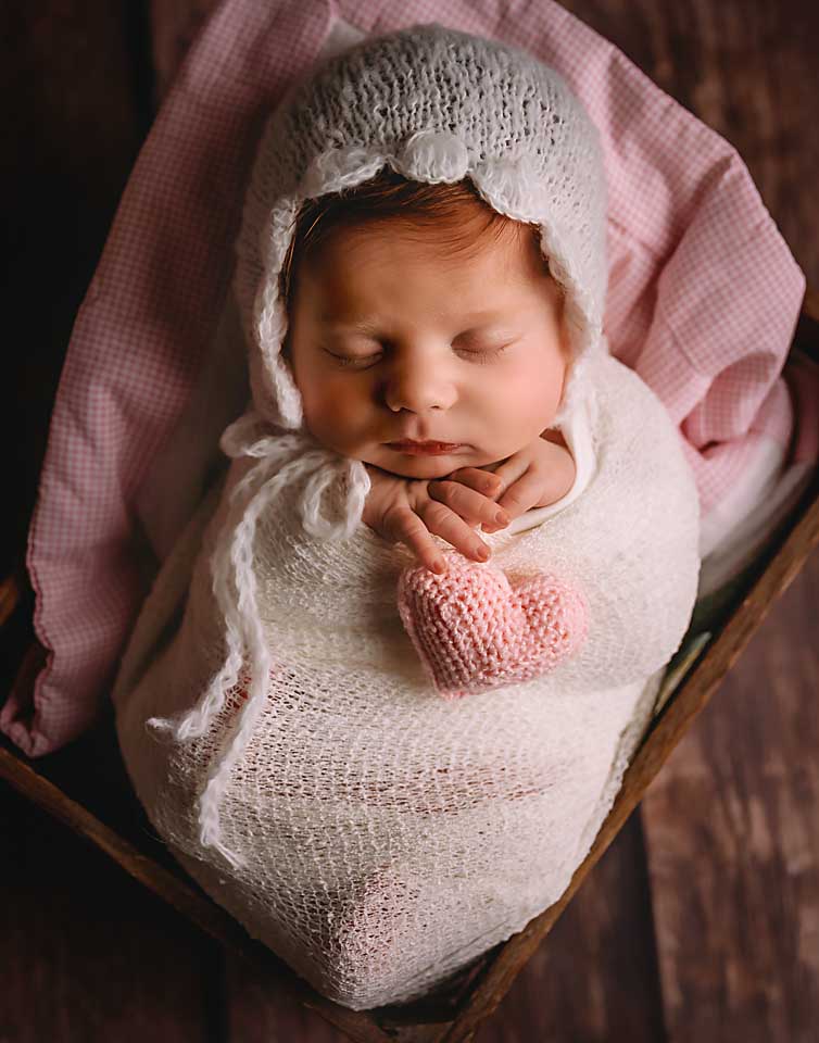 st louis newborn photographer