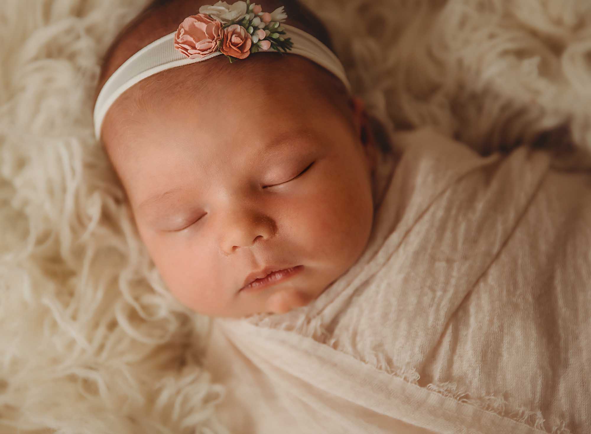 best newborn photographer st louis