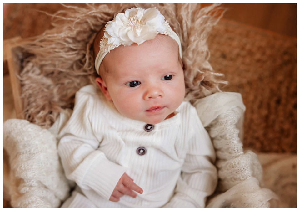 St. Louis Newborn Maternity Photographer