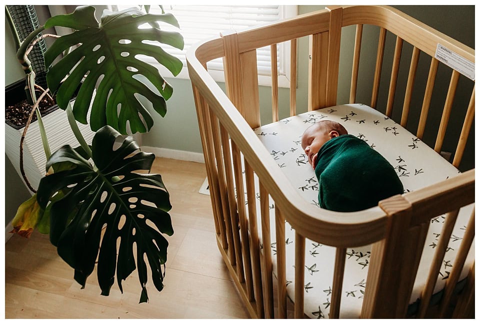 St. Louis Newborn Maternity Photographer
