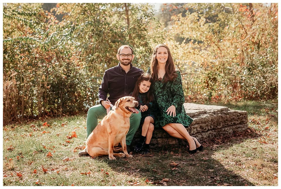 Fall Mini Sessions St. Louis Photographer