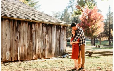 A Faust Park Engagement Session