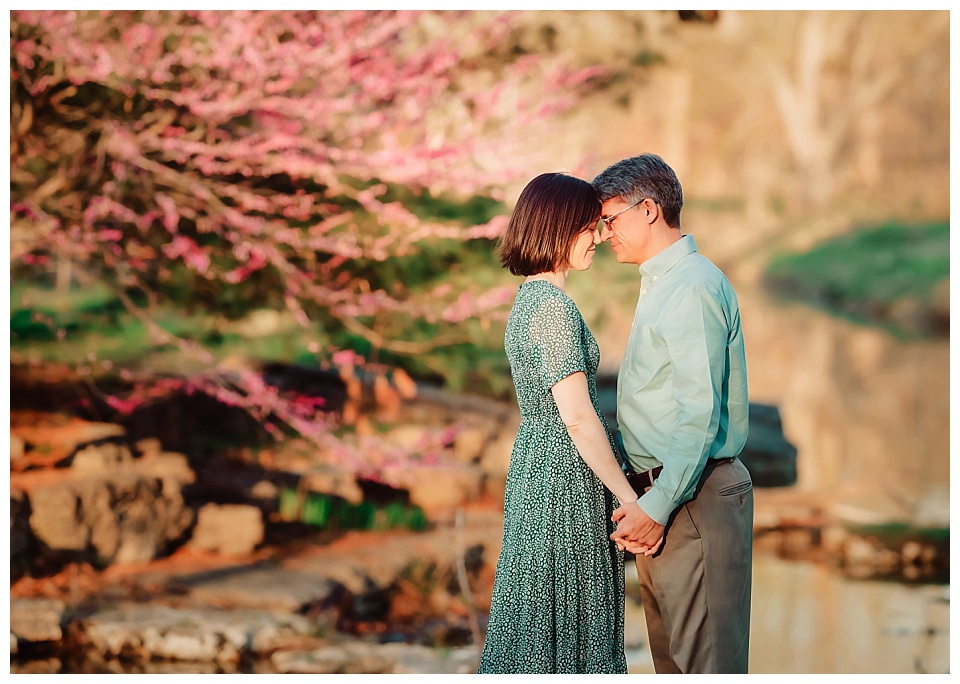 Proposal Photographer St. Louis