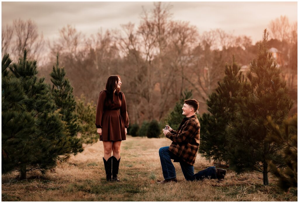 Christmas Tree Farm Mini Sessions Meert Tree Farm St. Louis