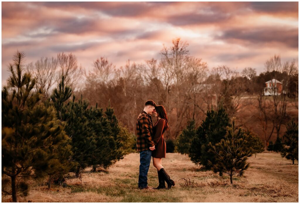 Christmas Tree Farm Mini Sessions Meert Tree Farm St. Louis