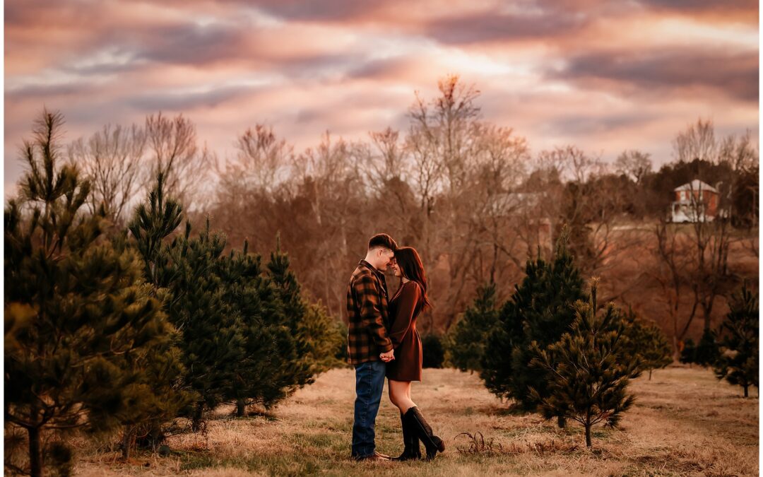 Christmas Tree Farm Mini Sessions – St. Louis Photographer