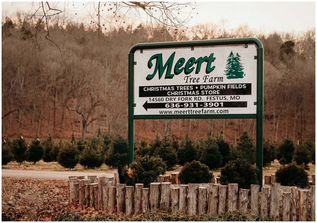 Christmas Tree Farm Mini Sessions Meert Tree Farm St. Louis